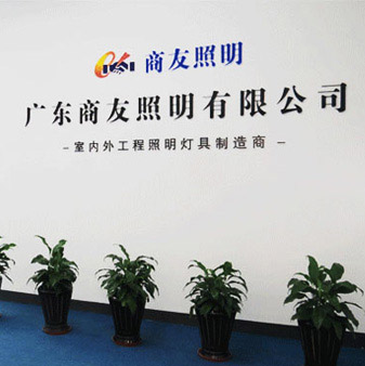 华体会（中国）|室内/户外工程照明,路灯,景观照明,工厂照明节能改造专家