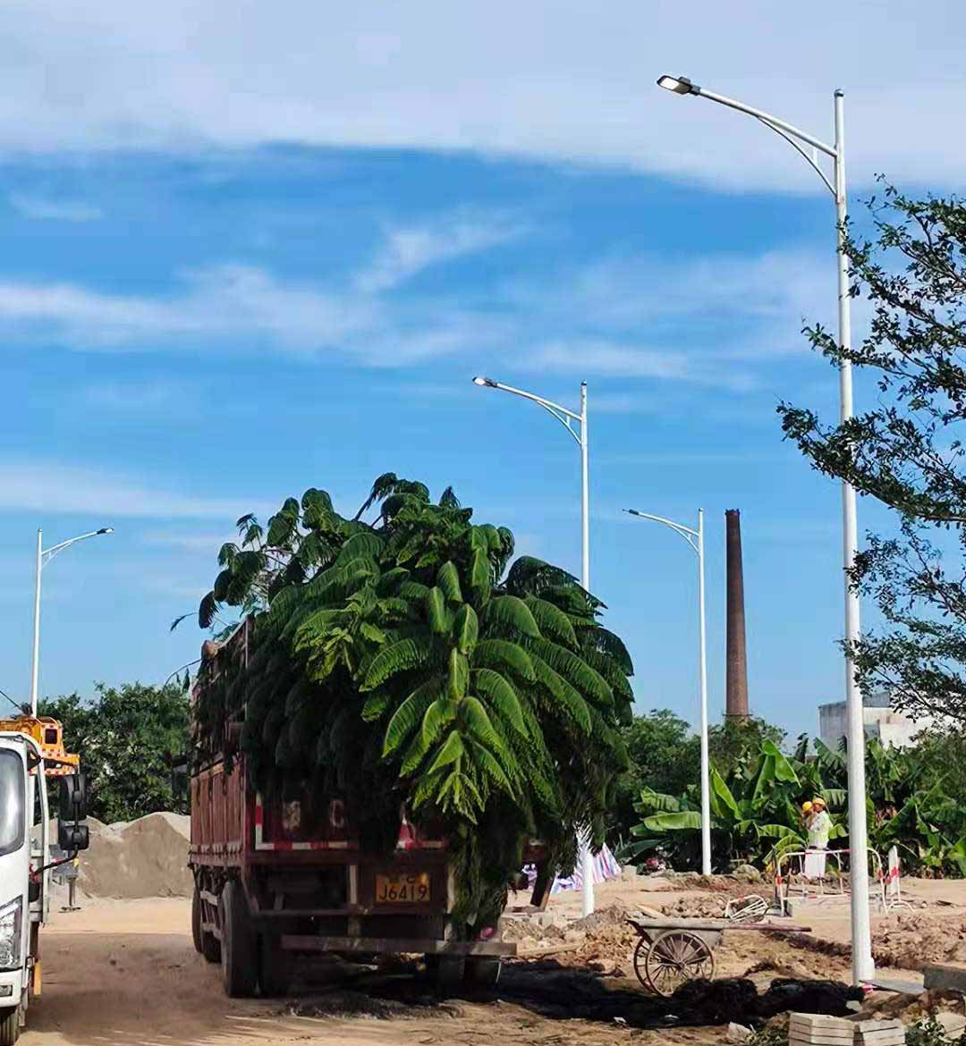 华体会（中国）助力东莞洪梅万科星城道路亮化工程