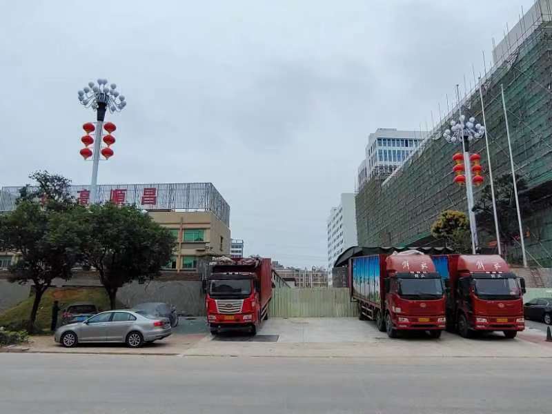 华灯之美，绽放莞城—广东宁兴环保科技有限公司19火华体会在线项目